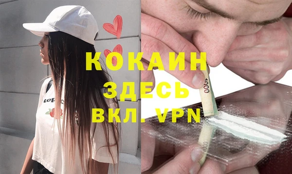 тгк Арсеньев