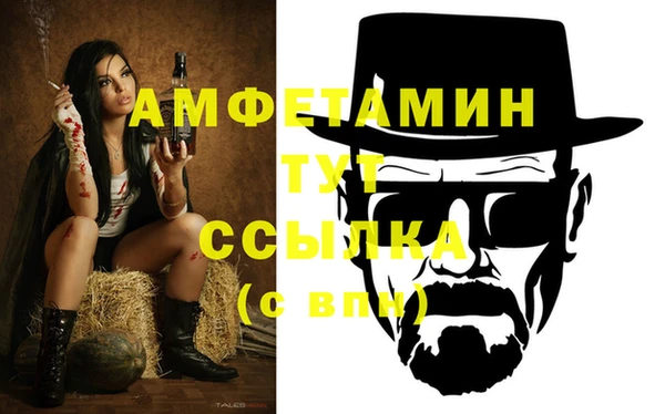 сатива Армянск