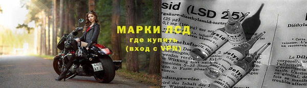 хмурый Алексин