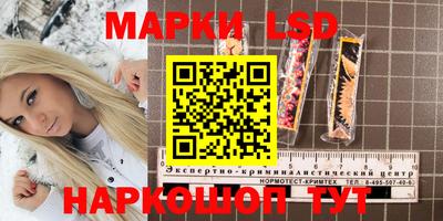 spice Нальчик
