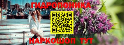 ГАЛЛЮЦИНОГЕННЫЕ ГРИБЫ Беслан