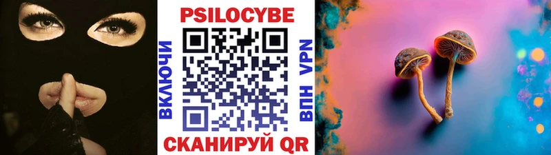 Галлюциногенные грибы Psilocybe  закладки  Кинель 