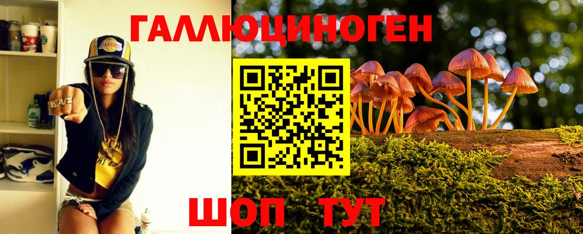 Галлюциногенные грибы ЛСД  Кинель 