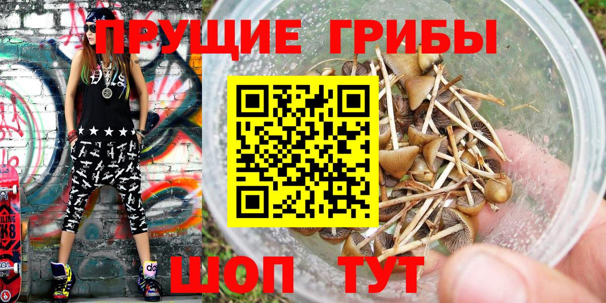 Галлюциногенные грибы MAGIC MUSHROOMS Кинель