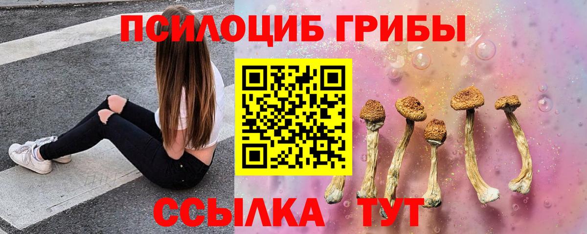 Псилоцибиновые грибы Cubensis  Вход с VPN  Галлюциногенные грибы ЛСД  Кинель 